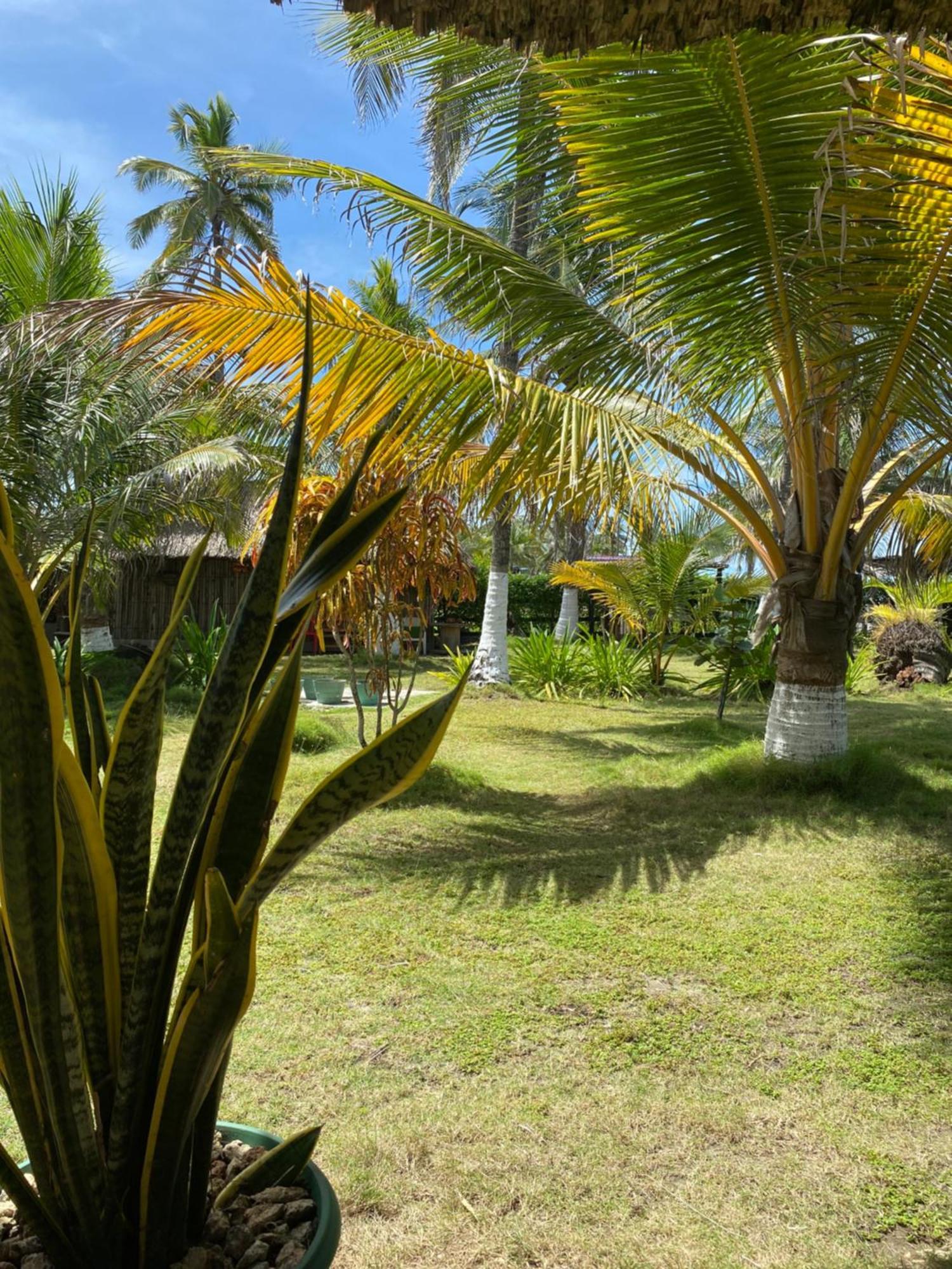 Zefiro Hostal San Bernardo del Viento Exterior foto